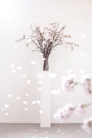 春婚さん必見！桜を使用した背景をご紹介