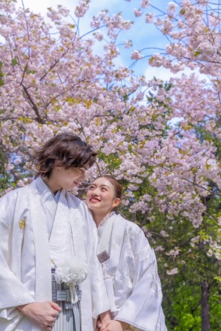 桜の季節に纏いたい、洗練の和装コーディネート3選