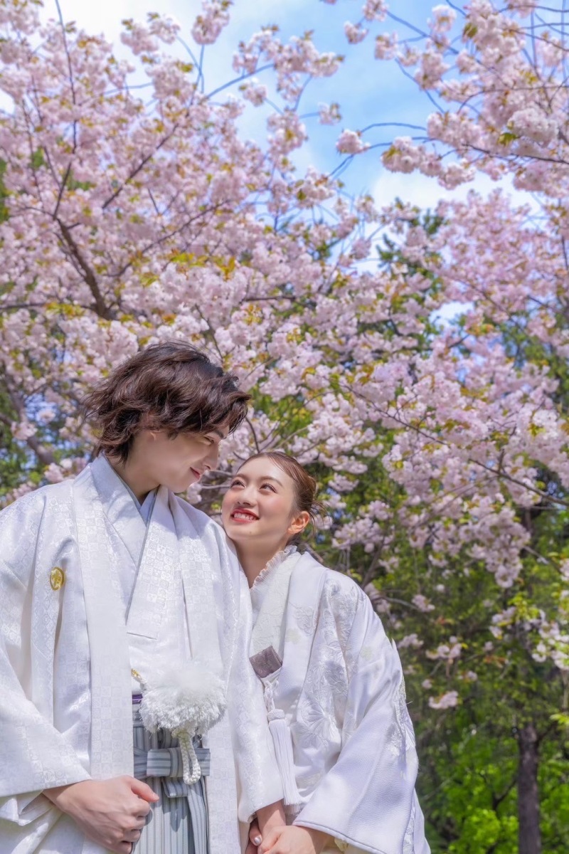 桜の季節に纏いたい、洗練の和装コーディネート3選