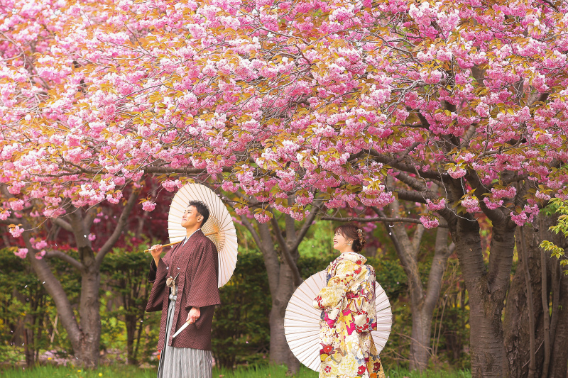 【桜ロケーション】フォトグラファーおすすめ撮影地!