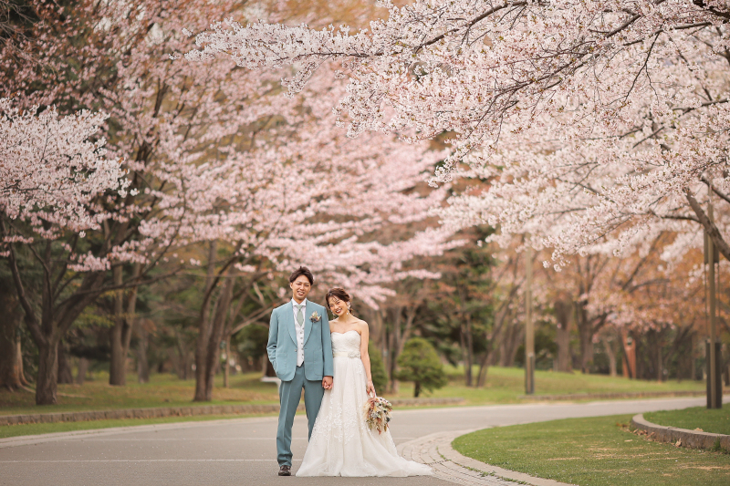 《桜ロケ》ご案内開始しております!