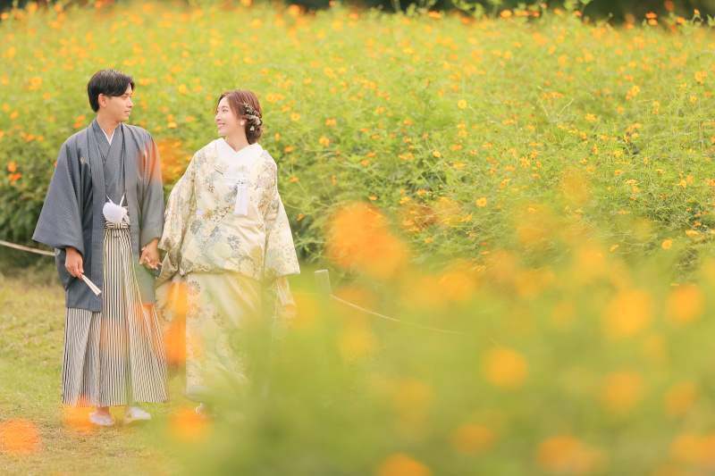 秋桜の百合が原公園❀