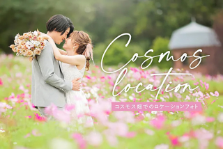 秋におすすめのコスモスロケ♩