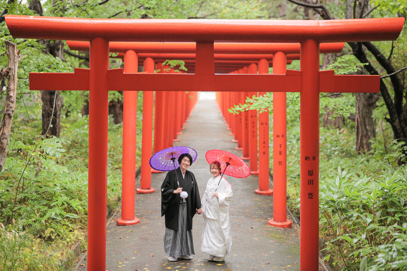 初夏におすすめのチューリップロケ⚘