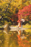 日本庭園×紅葉のコラボレーション♪【中島公園】