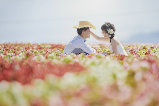 ❁富良野・美瑛❁プラン内で行ける“フラワーランドかみふらの”