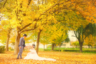 晩秋紅葉LOCATION【伏古公園】⚘