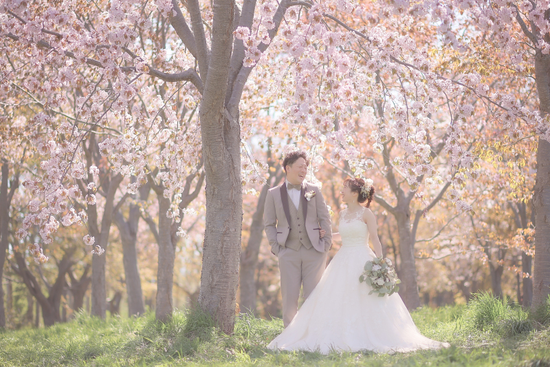 【桜ロケーション】フォトグラファーおすすめ撮影地!