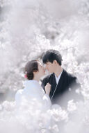 京都の桜前撮り ellepupaスタッフおすすめロケーション5選