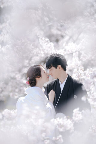 京都の桜前撮り ellepupaスタッフおすすめロケーション5選