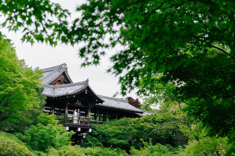 新緑の京都/新緑前撮りレポート
