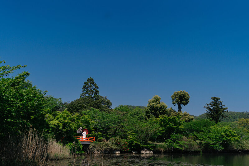 新緑の京都/新緑前撮りレポート
