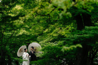 まだ間に合う緑との撮影!10月撮影の魅力