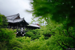 青もみじが一面に広がる東福寺(京都) / 前撮りロケーション撮影