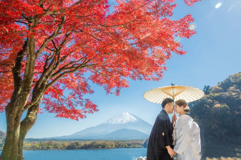 銀杏の並木での撮影も!秋の紅葉撮影