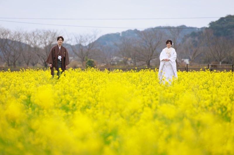 360° 菜の花に囲まれて一足先に春を楽しみませんか?