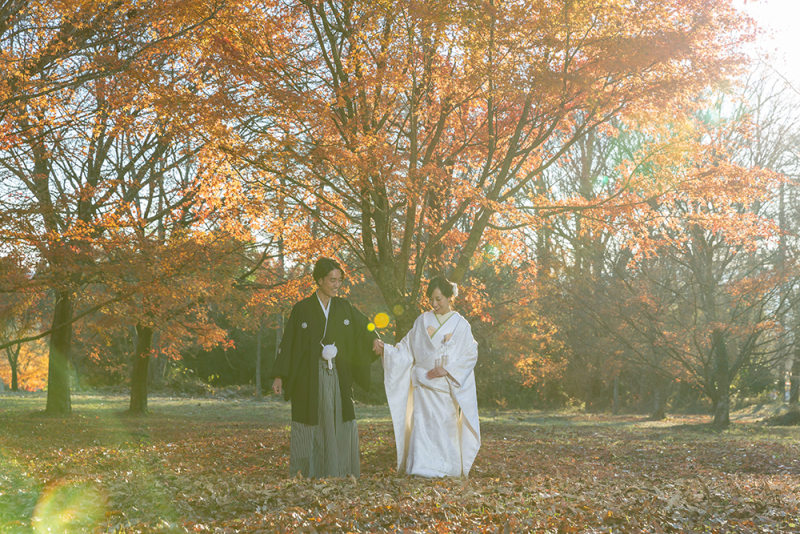 紅葉の時期のご予約うまってきてます!
