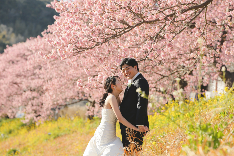 河津桜ロケーション2月上旬〜3月上旬までの限定プラン