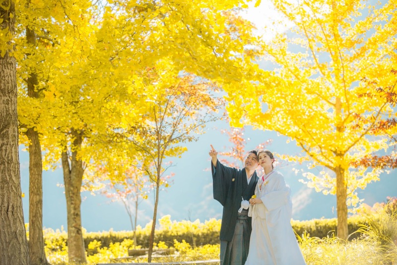 銀杏の並木での撮影も!秋の紅葉撮影