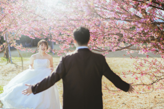 河津桜ロケーション!3万円OFFキャンペーン実施中!!