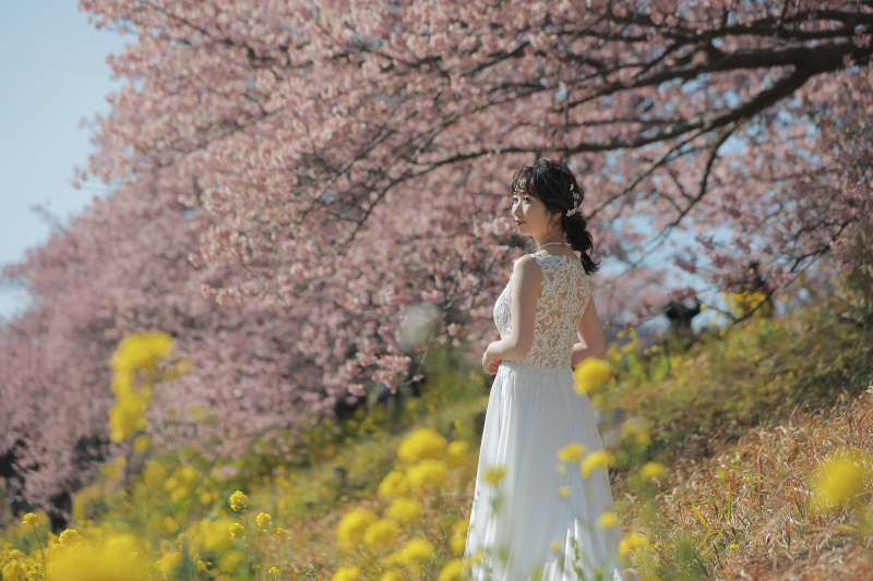 ドレスで伊豆河津桜撮影がかわいい理由♡