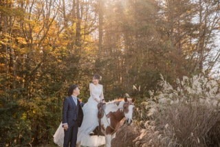 乗馬ロケーションフォト