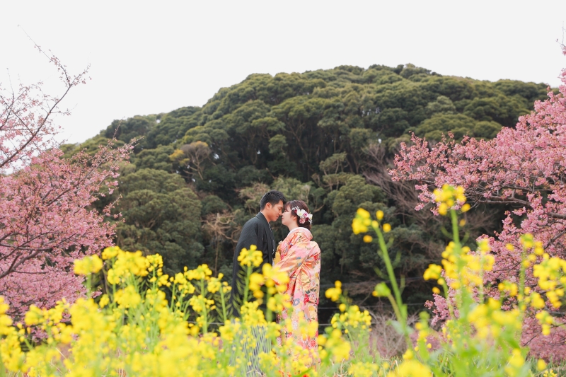 2月〜3月南伊豆の河津桜ロケーション和装