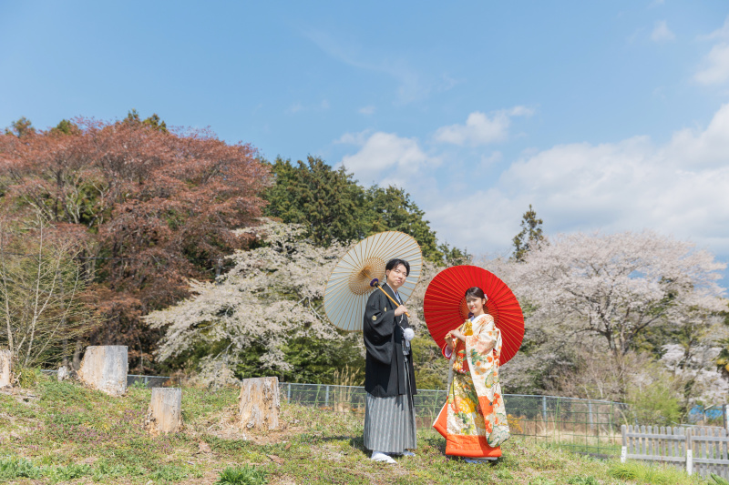 菜の花や桜など4月からはお花がたくさん開花します