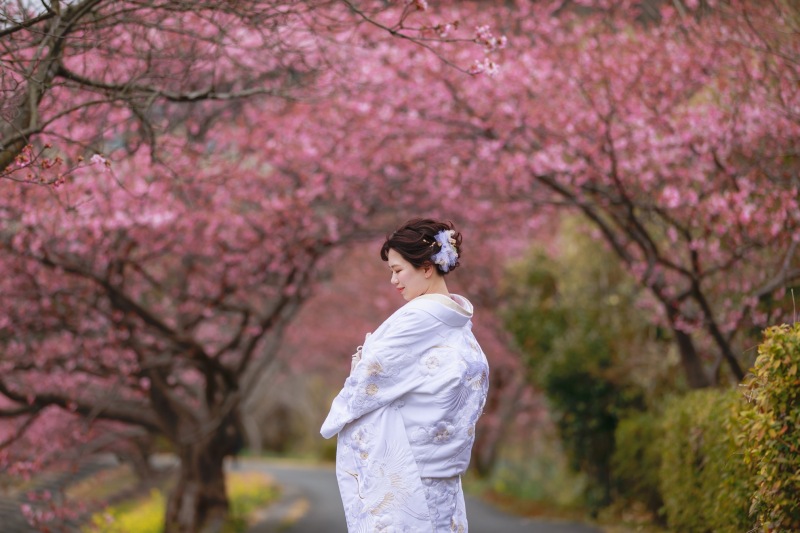 河津桜のご予約、大好評です！