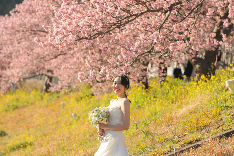 まもなくシーズン到来！河津桜ロケーション