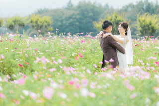 秋のコスモスやお花畑は10月上旬まで可能です
