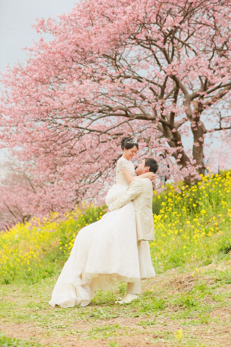 南伊豆河津桜ロケーションフォト