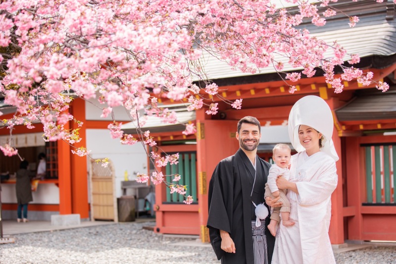 富士宮も早咲きの桜が開花しております