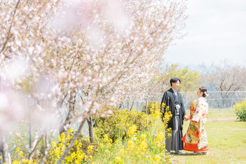 菜の花や桜など4月からはお花がたくさん開花します
