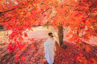 和装+紅葉真っ最中