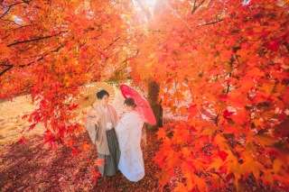 10月末〜12月上旬の富士紅葉ロケーションフォト