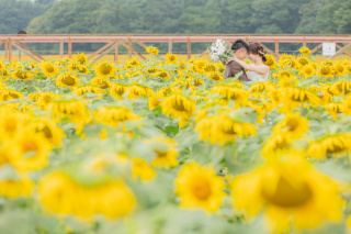 夏の撮影!お花畑や緑で撮影