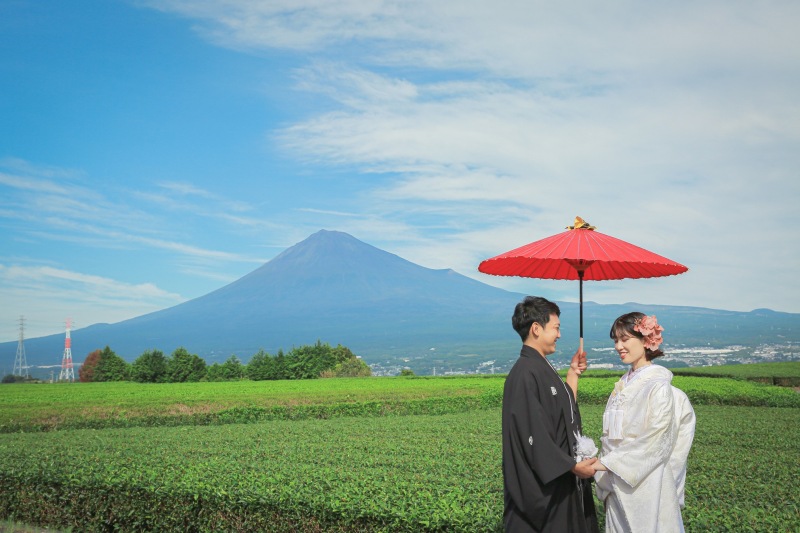 お茶畑で日本らしい和装写真の撮影