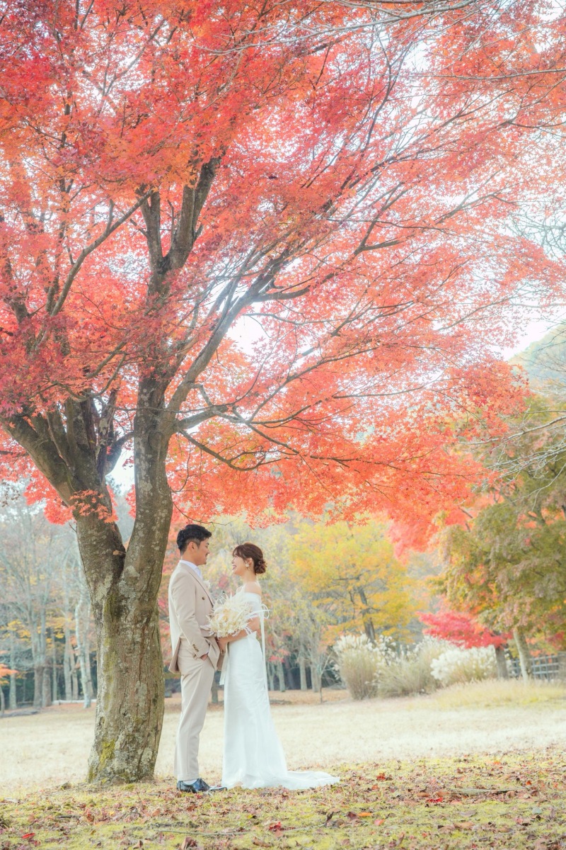 紅葉ロケーション