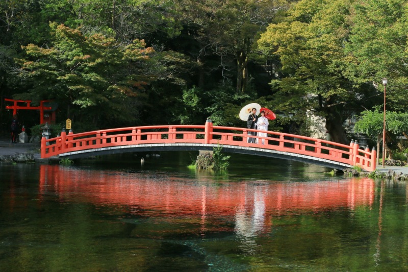 お茶畑で日本らしい和装写真の撮影