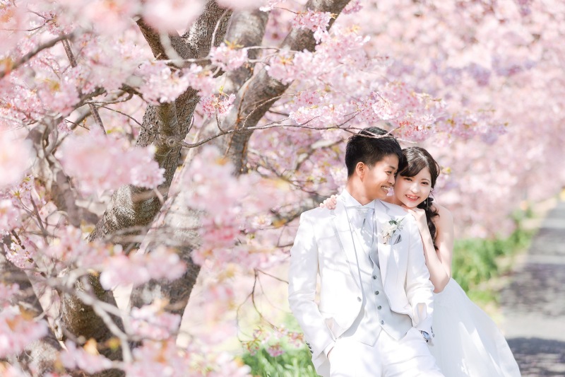 南伊豆河津桜ロケーションフォト