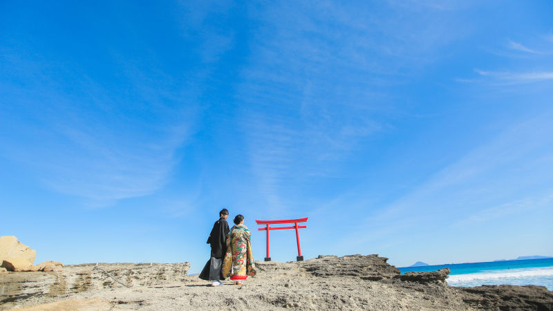 2月の伊豆の海+河津桜撮影プラン情報