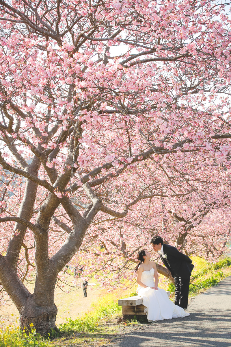 河津桜プラン、嬉しい早期割引特典+2月上旬はさらにお得