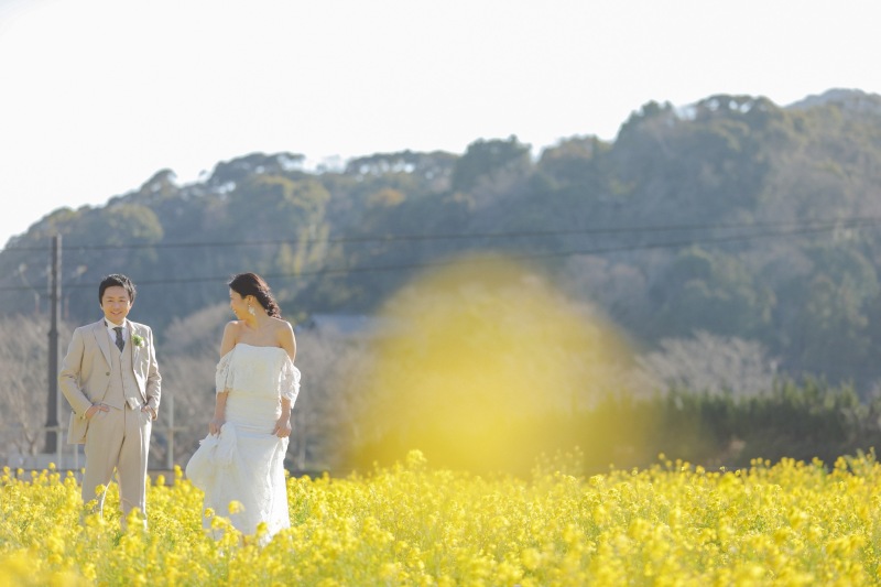 360° 菜の花に囲まれて一足先に春を楽しみませんか?