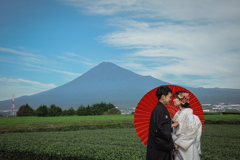 お茶畑で日本らしい和装写真の撮影