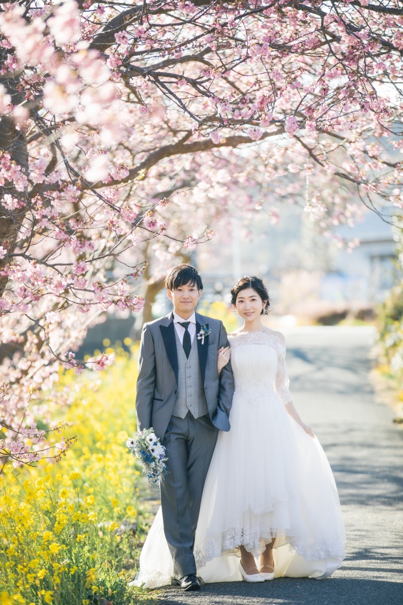 南伊豆の河津桜プラン残りわずかです！