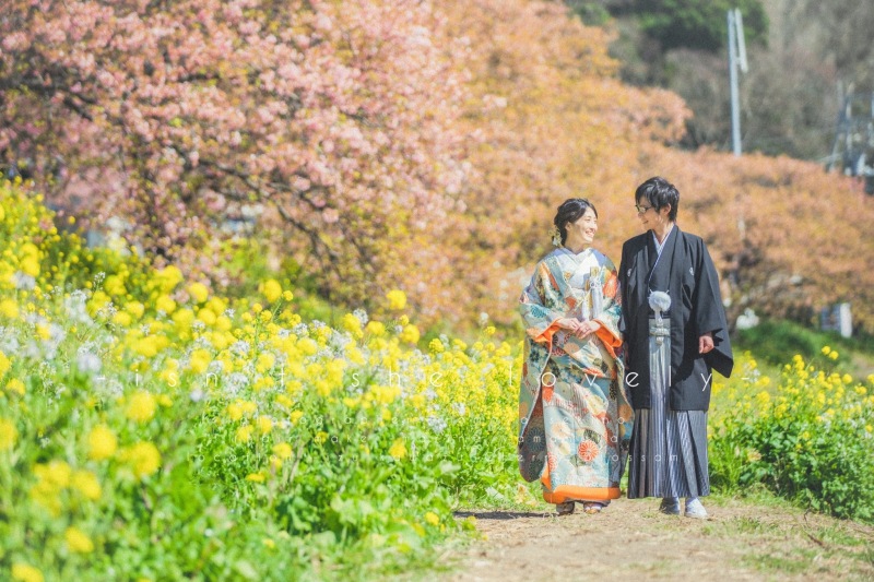 河津桜ロケーション2月上旬〜3月上旬までの限定プラン