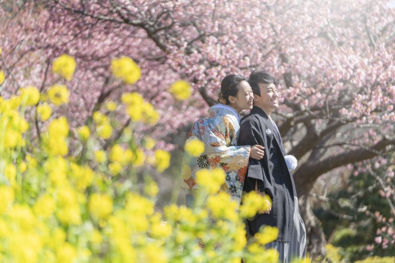 2月上旬から撮影できる南伊豆河津桜撮影プランご予約スタート