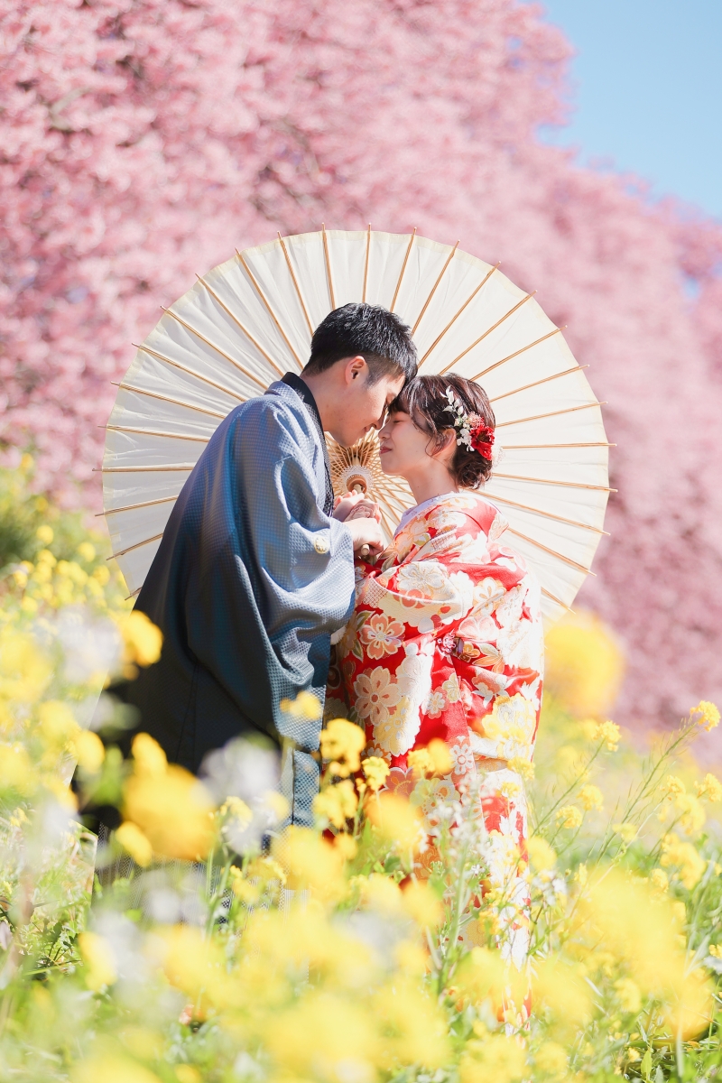 2月〜3月南伊豆の河津桜ロケーション和装