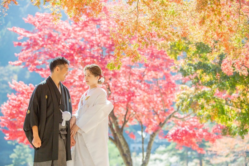 銀杏の並木での撮影も!秋の紅葉撮影